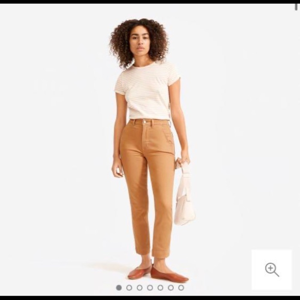 Everlane Slim Leg Crop Pant